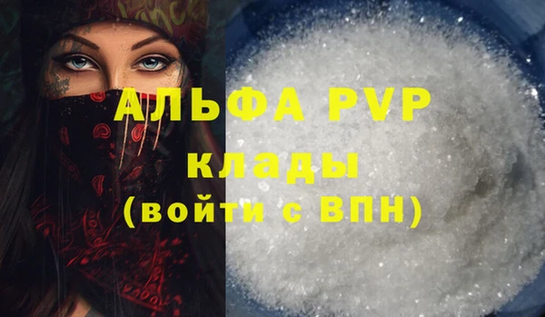 индика Балахна