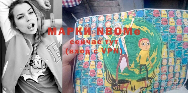 индика Балахна