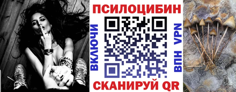 kraken сайт  Ногинск  это как зайти  Галлюциногенные грибы ЛСД 